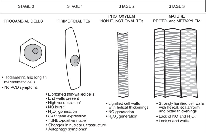 Fig. 8.