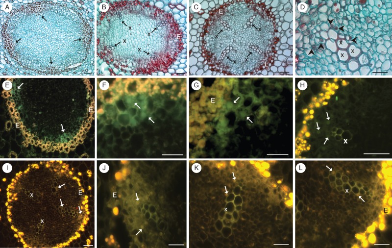 Fig. 3.