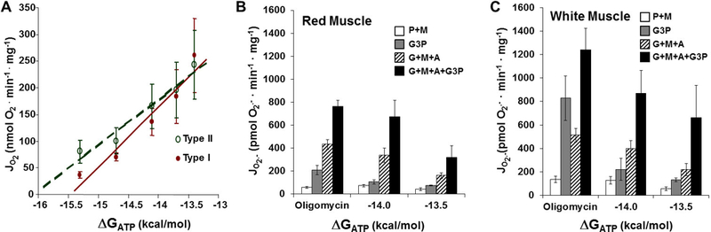 Figure 5: