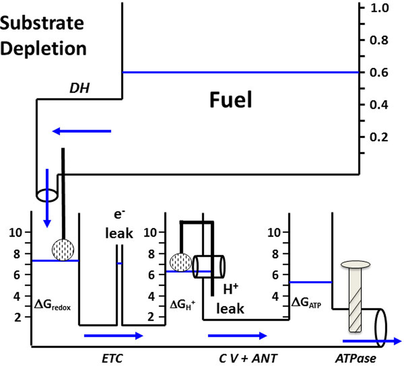 Figure 4: