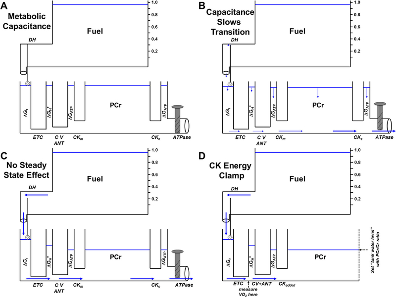 Figure 6: