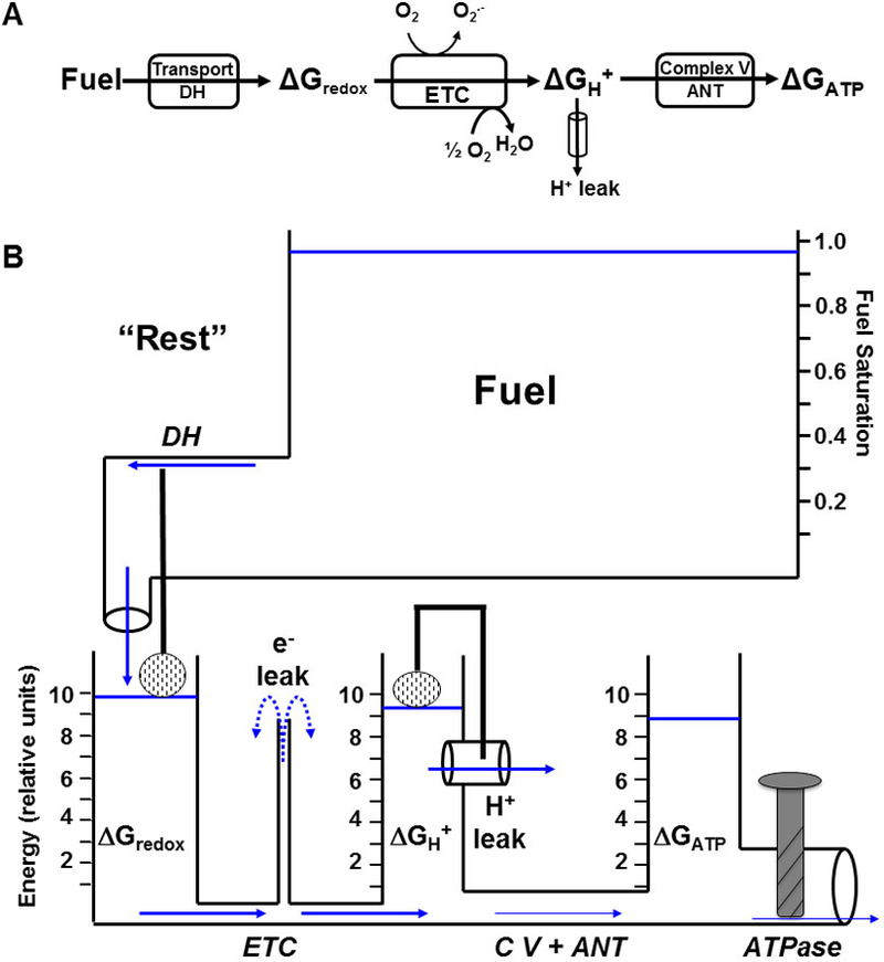 Figure 1: