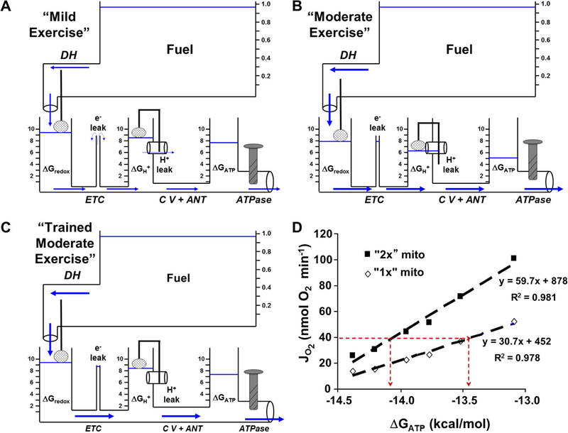 Figure 3: