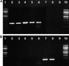 Fig. 9