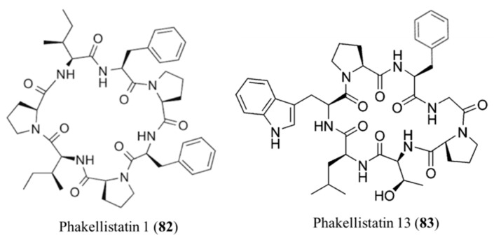 Figure 33