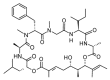 Figure 48