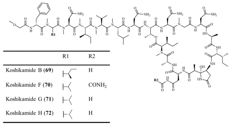 Figure 29