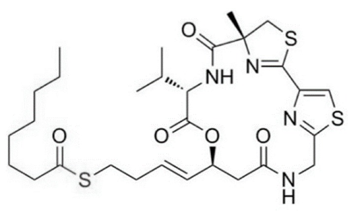 Figure 13