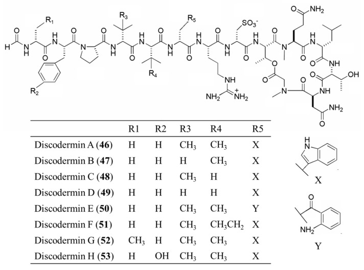 Figure 24