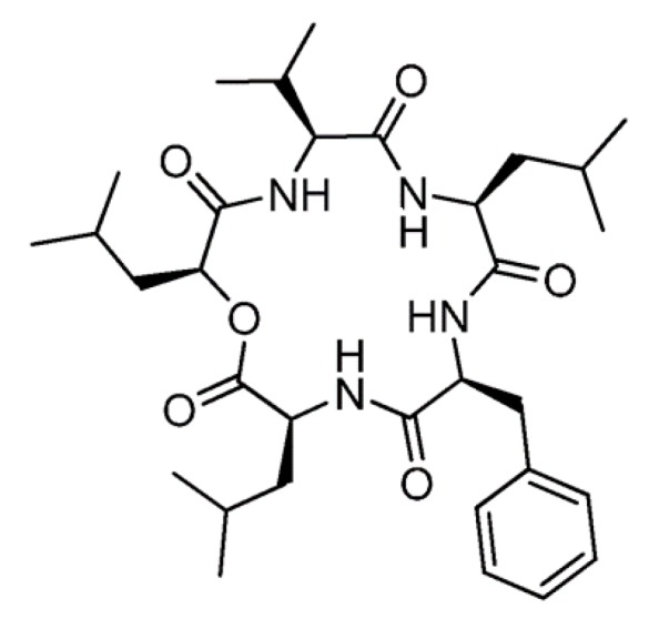 Figure 21