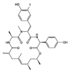 Figure 25