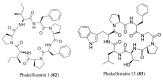 Figure 33