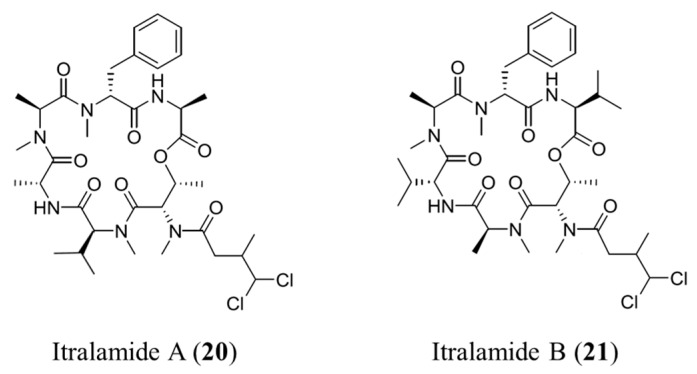 Figure 11