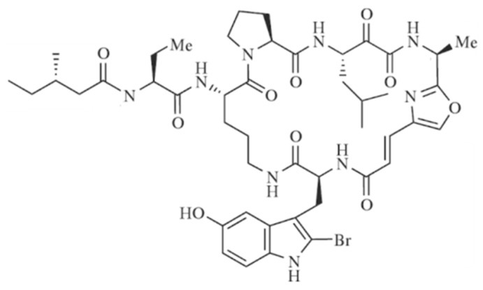 Figure 31