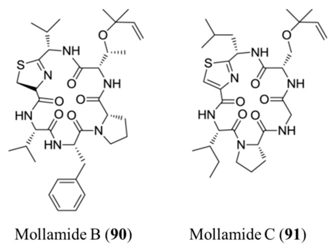 Figure 40