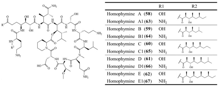 Figure 27