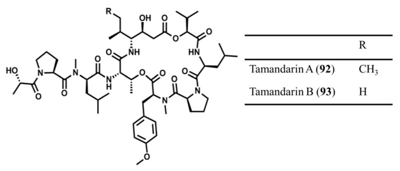 Figure 41