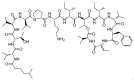 Figure 46