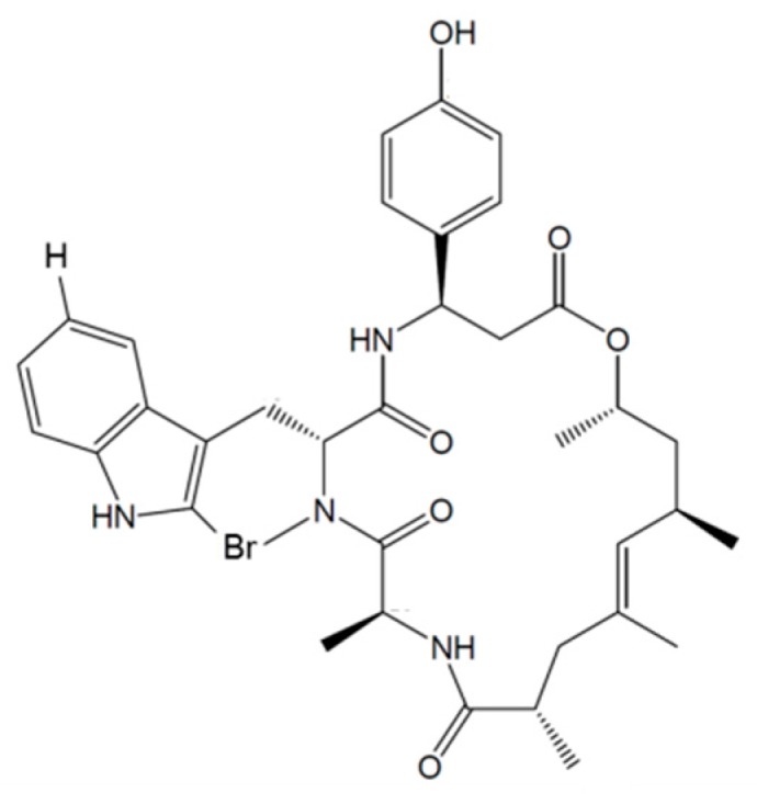 Figure 28