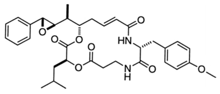 Figure 23