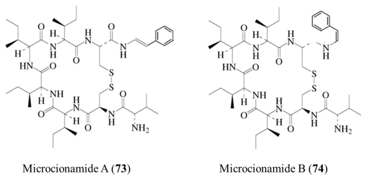 Figure 30