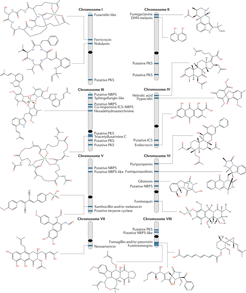 Fig. 5 |