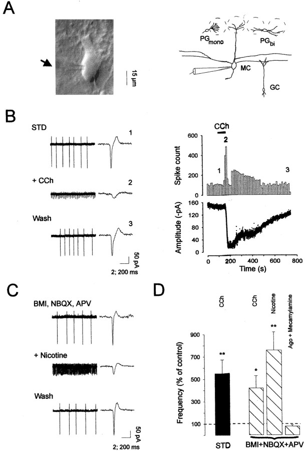 Fig. 1.