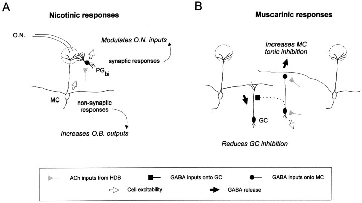 Fig. 10.