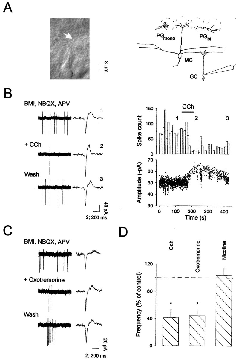 Fig. 3.