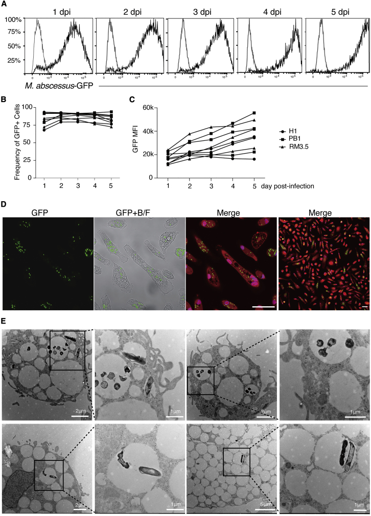 Figure 2