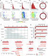 Figure 1. LR-seq reads containing only HPV sequences revealed frequent HPV concatemers with and without SVs in multiple cancers and cell lines. A–D, Shown are (top, y-axis) read count histograms and (bottom, y-axis) plots of the distance (Δ) between 5′ and 3′ mapped coordinates when HPV-only ONT reads were aligned against the HPV16 reference genome for (A) tumor 1, (B) tumor 2, (C) tumor 3, and (D) VU147 cell line. X-axis, top and bottom panels, ONT read lengths in kilobase pairs (kb); n, number of aligned ONT reads. Bottom, heat map, read counts. E, Schematic depicting distance Δ between read 5′ and 3′ ends (based on half-maximal genome unit circumference, 7,906 bp ÷ 2). Gray, top and bottom, two ONT reads aligned against (red) a one-unit circle of the HPV16 genome. F, Representative ONT reads from samples in A–D aligned against concatemeric HPV genomes. X-axis, dashed lines, ∼7.9-kb HPV genome unit length; black arrows, orientation of HPV genome from coordinates 1 to 7,906. G, Dot plots depict (light gray) alignments of (x-axis) representative ONT reads from VU147 cells of variable lengths against (y-axis, arrow) one ∼7.9-kb HPV genome unit. DUP, duplications; DEL, deletions; INV, inversions; colored circles, sites of discordant or split reads supporting a breakpoint. H, Virus–only VU147 ONT reads are shown as (top) block diagrams and (bottom) breakpoint plots, grouped by the presence of unique virus–virus breakpoints. Red lines, HPV genome (vertical black ticks, HPV reference coordinate 0; vertical white ticks, HPV rearrangement); colored dots, numbers, inset key, breakpoints; numbers below block diagrams, group-defining breakpoints. See also Supplementary Figs. S2.2 and S2.3.