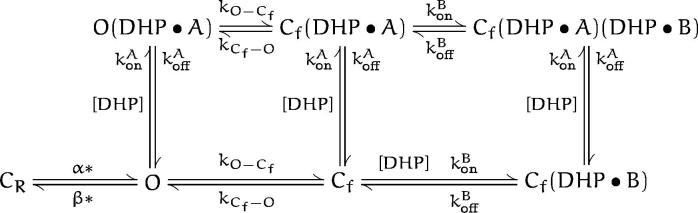 Scheme V