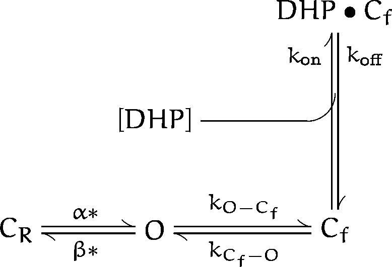 Scheme III