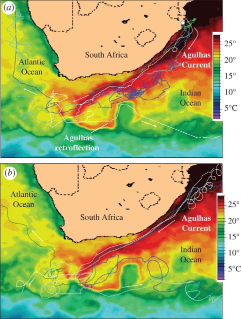 Figure 1.