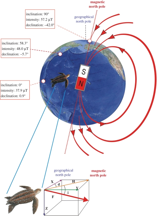 Figure 3.