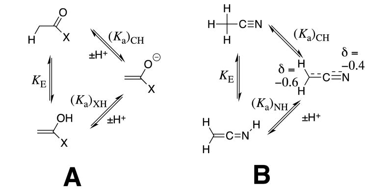 Scheme 5