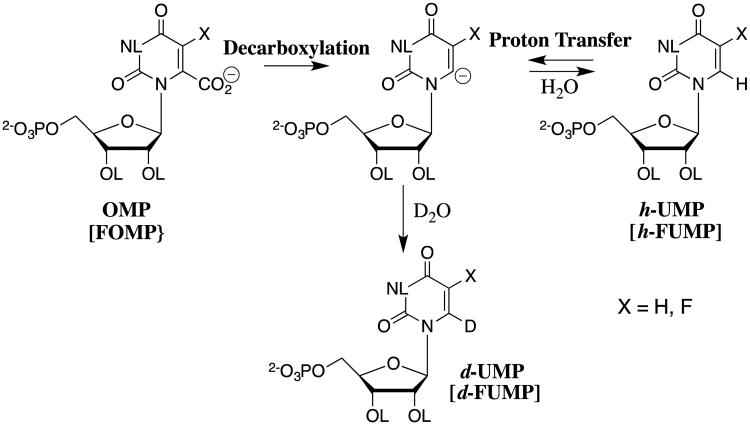 Scheme 14