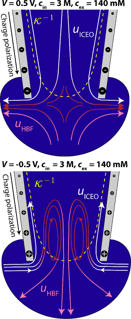 Scheme 1.