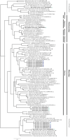 FIG 3
