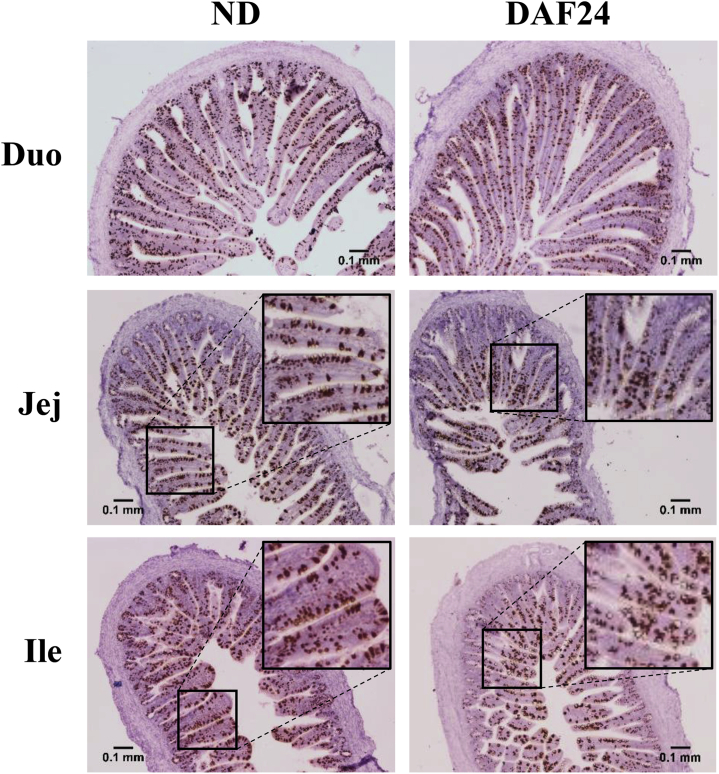 Figure 5