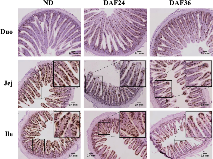 Figure 6