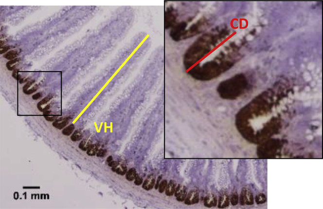 Figure 1