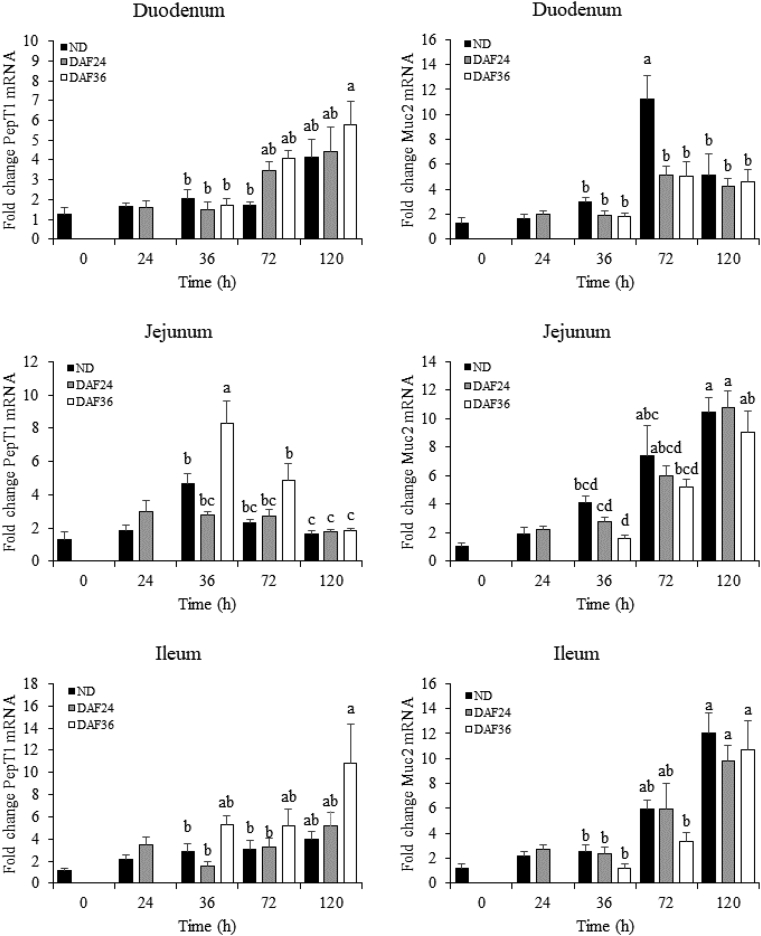 Figure 3