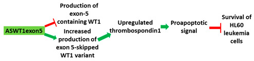 graphic file with name cancers-13-05555-i011.jpg