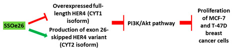 graphic file with name cancers-13-05555-i010.jpg