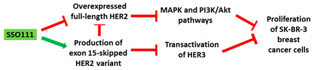 graphic file with name cancers-13-05555-i008.jpg