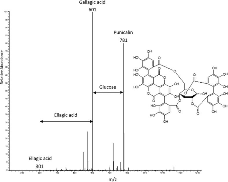 Fig. 2