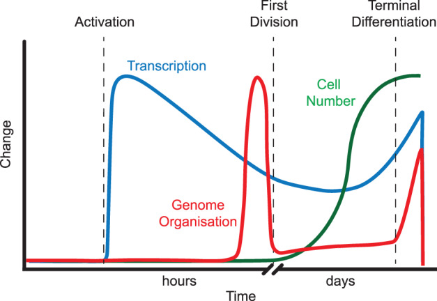 Figure 2.