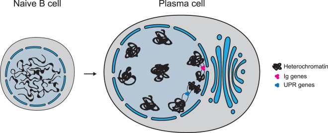 Figure 4.