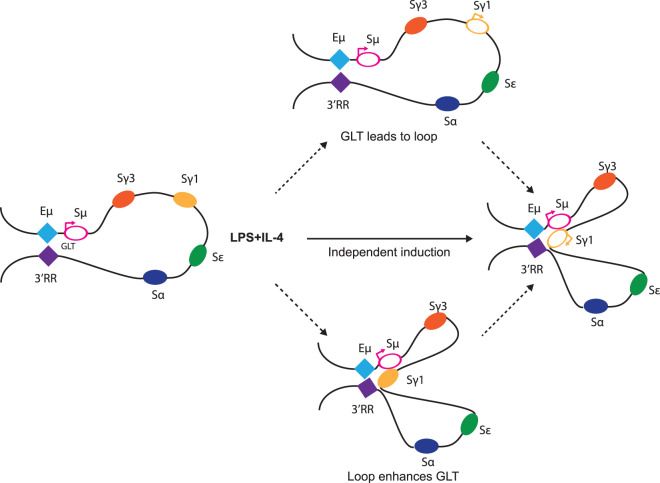 Figure 3.